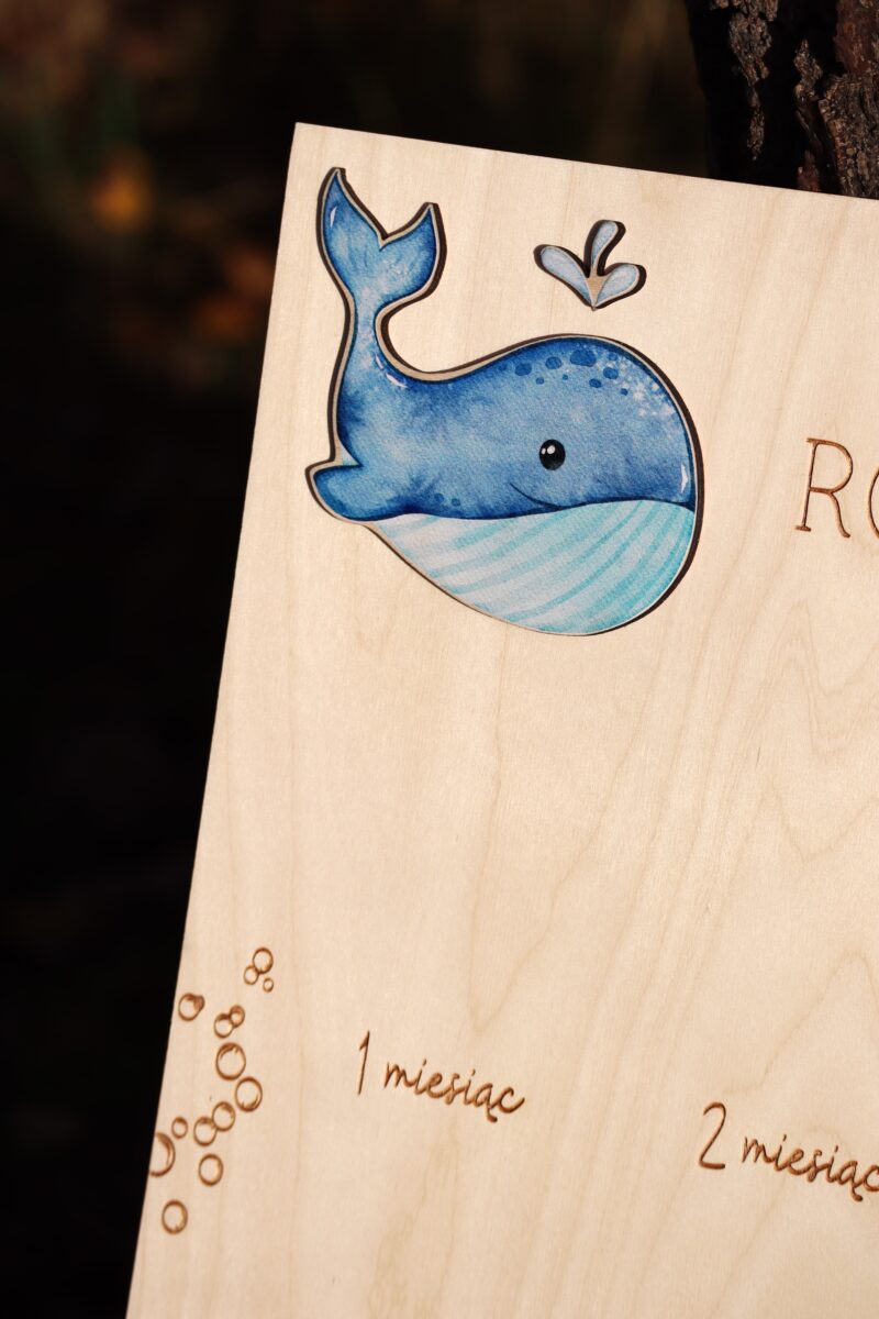 Tablica na roczek Morskie zwierzątka