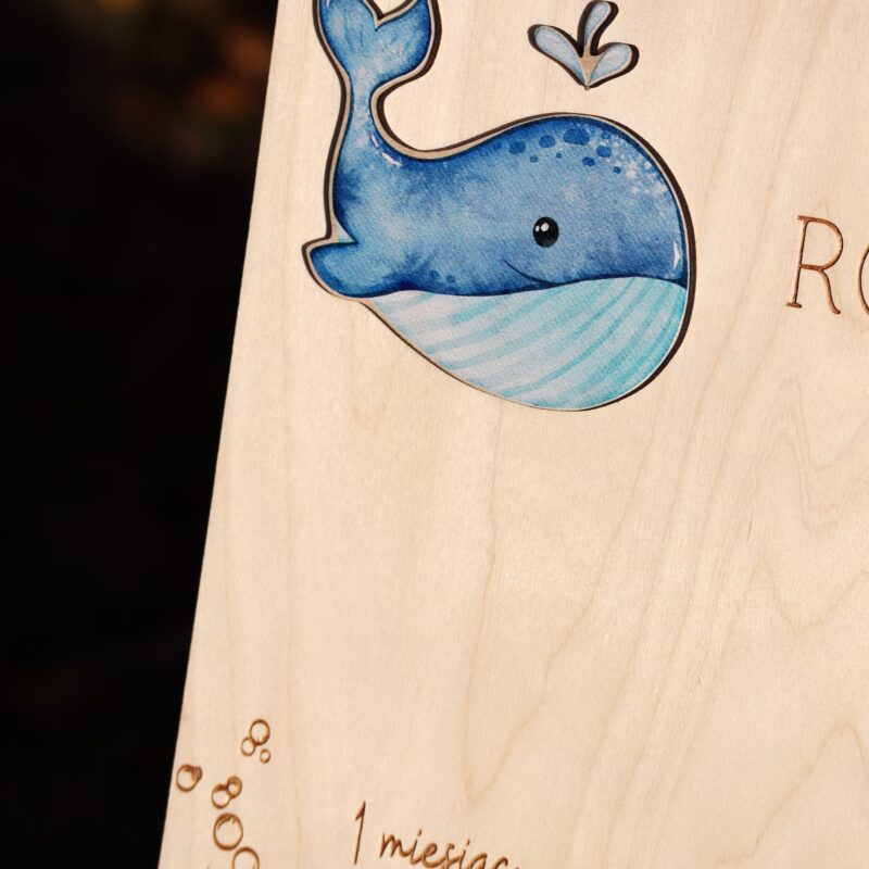 Tablica na roczek Morskie zwierzątka